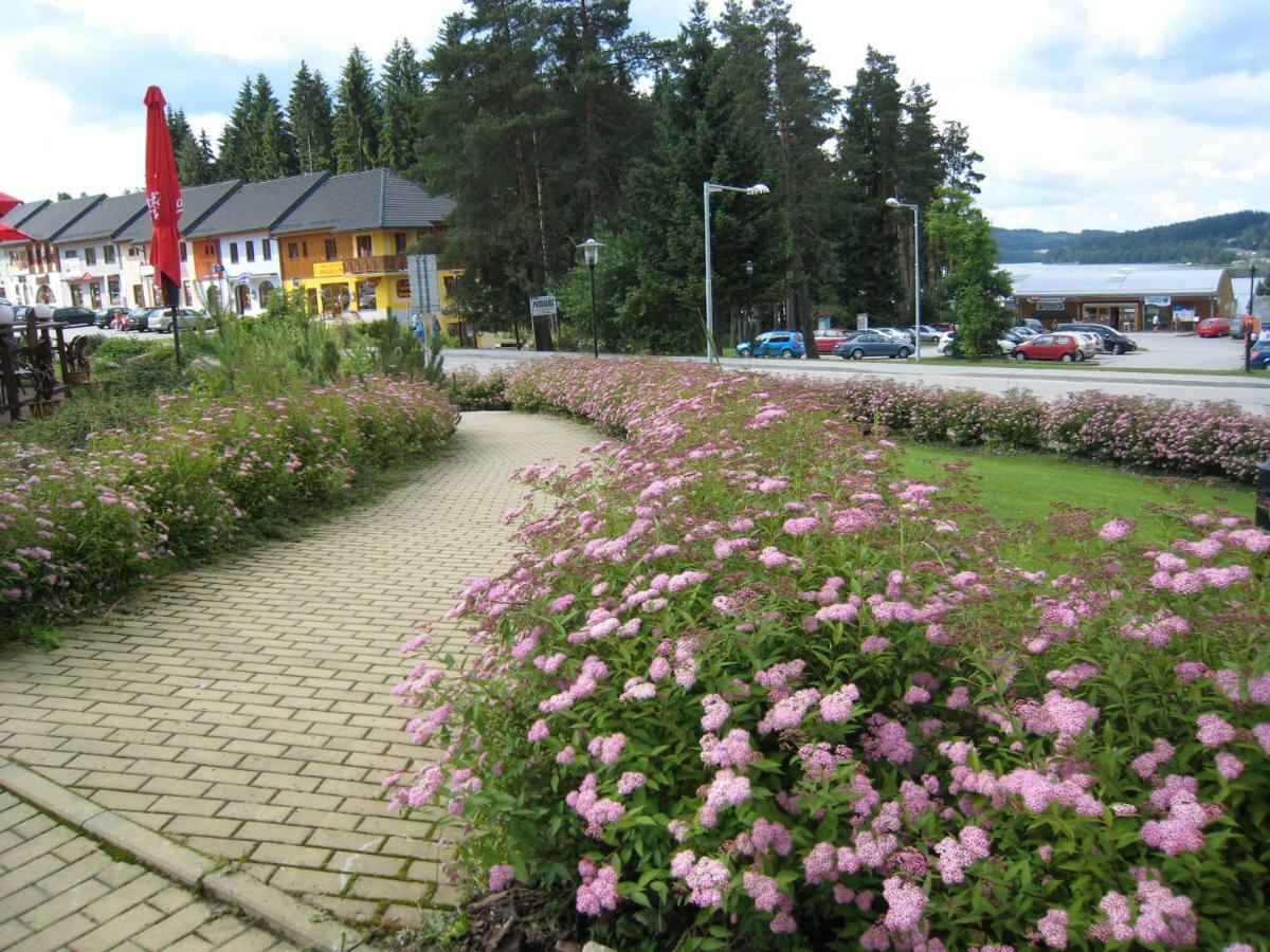 Apartmán Apartmán Riviera Lipno nad Vltavou Exteriér fotografie