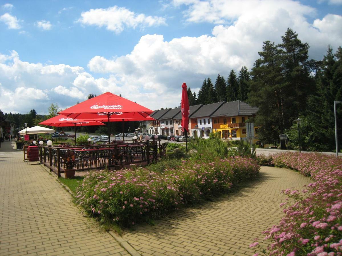 Apartmán Apartmán Riviera Lipno nad Vltavou Exteriér fotografie